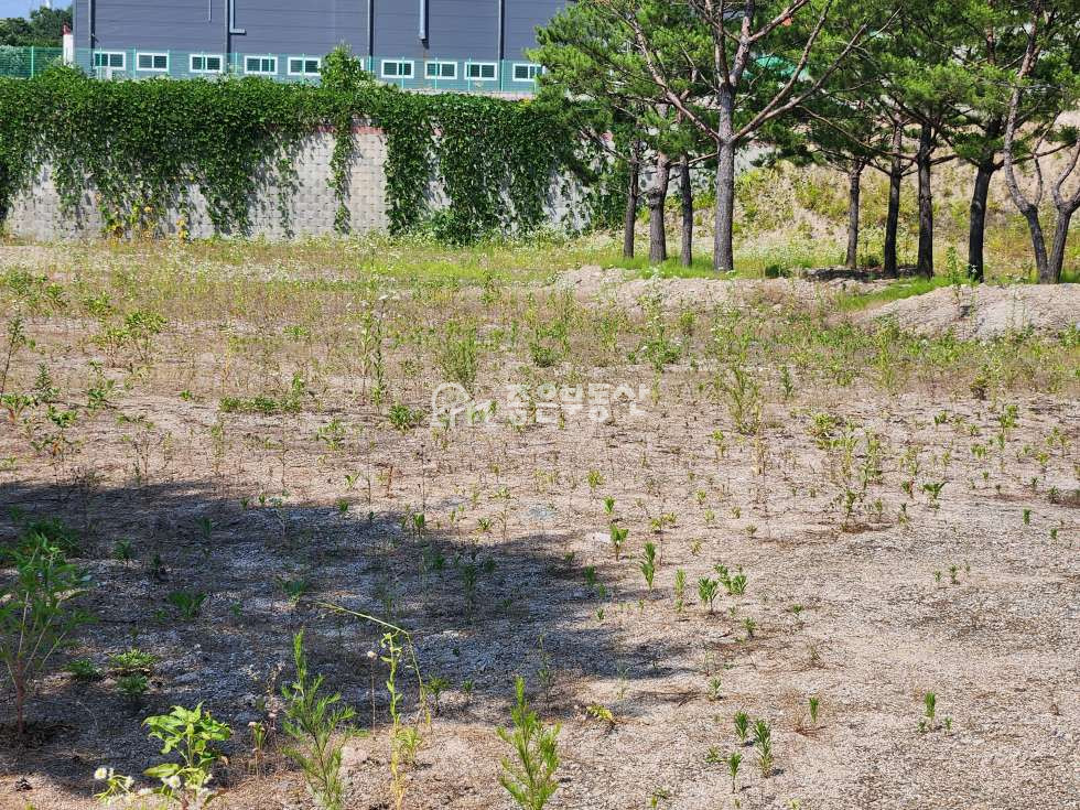 경기 이천시 마장면 관리 식품공장 450평 허가득한 공장부지매매 매매 매물번호 10025 사진 4
