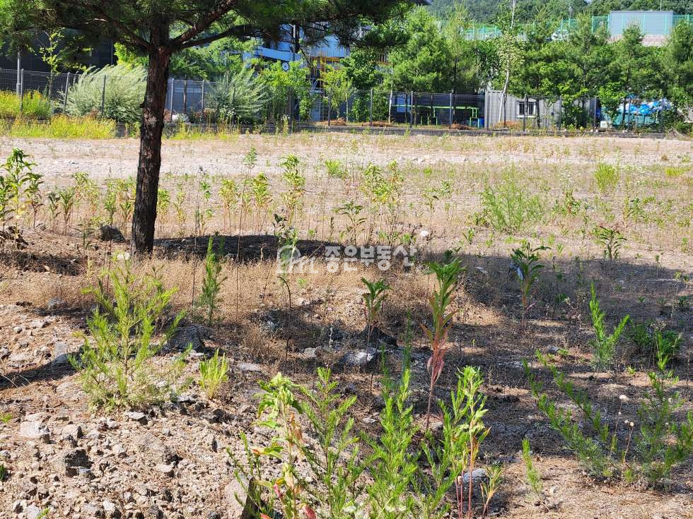 경기 이천시 마장면 관리 식품공장 450평 허가득한 공장부지매매 매매 매물번호 10025 사진 5