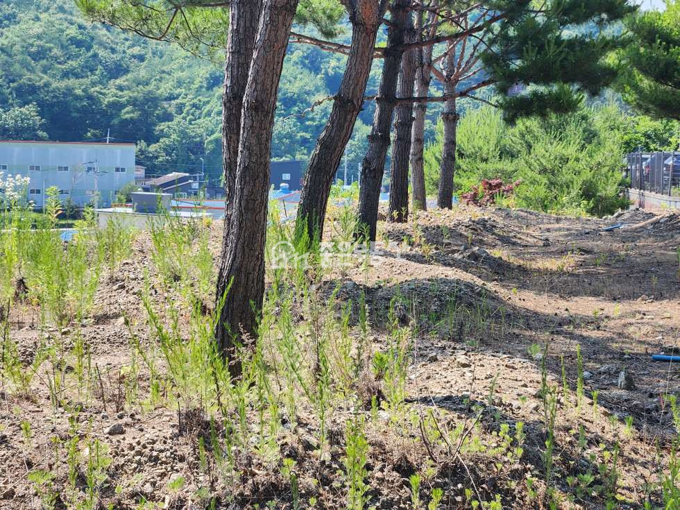경기 이천시 마장면 관리 식품공장 450평 허가득한 공장부지매매 매매 매물번호 10025 사진 6